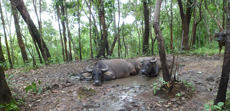 4 DAYS 3 NIGHTS TREK MAE TAENG AREA